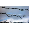 Hot-Dipped Galvanized Razor Barbed Wire for Fence